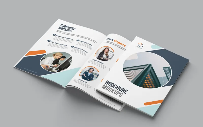Offset Printed Brochures